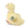 Plush duck 24 cm - plush toys