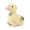 Plush duck 24 cm - plush toys