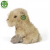 Plush capybara 18 cm - plush toys