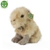 Plush capybara 18 cm - plush toys