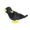 B6BE2CB4 3F28 4863 91FB 59D18D76150E nias ill myna