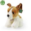 Plyšový Jack Russell teriér 30 cm - plyšové hračky