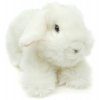 Plush rabbit 22 cm - plush toys