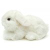 Plush rabbit 22 cm - plush toys