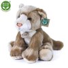 B163592D 71FE 462C A577 4D7D9F6BB337 lvice plys r211650