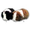 Plush guinea pig 20 cm - plush toys