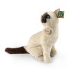 Plush Siamese cat 30 cm - plush toys