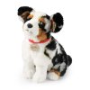 Plush Australian Shepherd 30 cm - plush toys