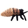 Plush cockroach 20 cm - plush toys