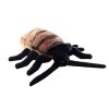 Plush cockroach 20 cm - plush toys