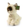 Plush ragdoll cat 23 cm - plush toys