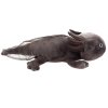 Plyšový axolotl šedý 32 cm - plyšové hračky