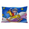 Pillow 45x30cm Evening horse