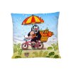 Mole pillow 30x30cm, summer