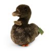 Plush duck 23 cm - plush toys