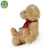 Teddy bear 28 cm - plush toys