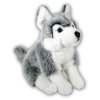 Plush Husky 32 cm - plush toys