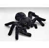 Plyšový pavouk černá vdova 25 cm - plyšové hračky