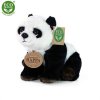3A893B43 B141 4264 8401 204925E54C9F panda plys r201651