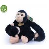 Plush chimpanzee hanging 33 cm - plush toys