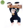 Plush chimpanzee hanging 33 cm - plush toys