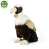 Plush vulture 28 cm - plush toys