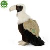 Plush vulture 28 cm - plush toys