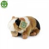 Plush guinea pig 17 cm - plush toys