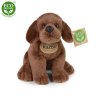 Plush Labrador 20 cm - plush toys