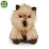 Plush dog Cairn Terrier 30 cm - plush toys