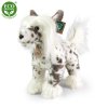 Plush Chinese Crested Dog 25 cm - plush toys
