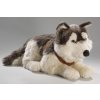 Plush husky dog ??60 cm - plush toys