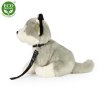 Plush husky dog ??sitting 28 cm - plush toys