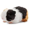 Plush guinea pig 20 cm - plush toys