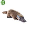 Plush platypus 30 cm - plush toys