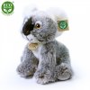 Plush koala 26 cm - plush toys