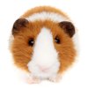 Plush guinea pig 21 cm - plush toys