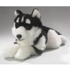 Plush husky 40 cm - plush toys