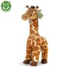 Plush giraffe 40 cm - plush toys