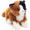 Plush cat 28 cm - plush toys