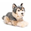 Plush wolf 22 cm - plush toys