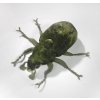 Plyšový brouk zelený 18 cm - plyšové hračky