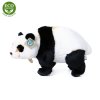 Plush panda 37 cm - plush toys
