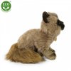 Plyšová kočka siamská 28 cm - plyšové hračky