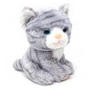 Plush cat 21 cm - plush toys