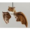 Plush bat 35 cm - plush toys