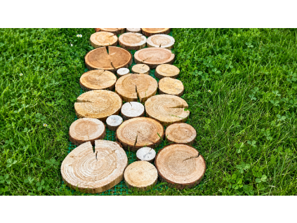 Chodníkový panel PSOS_080X040X03 - Borovice