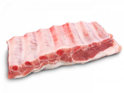 204 1 veprova zebra masita