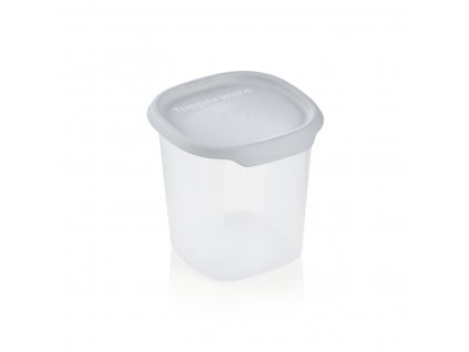 tupperware ww st 2302 2185