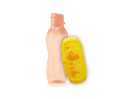 Sada Eco+ Voděnka 500 ml, lososová s pítkem + Svačinka Disney Bella
